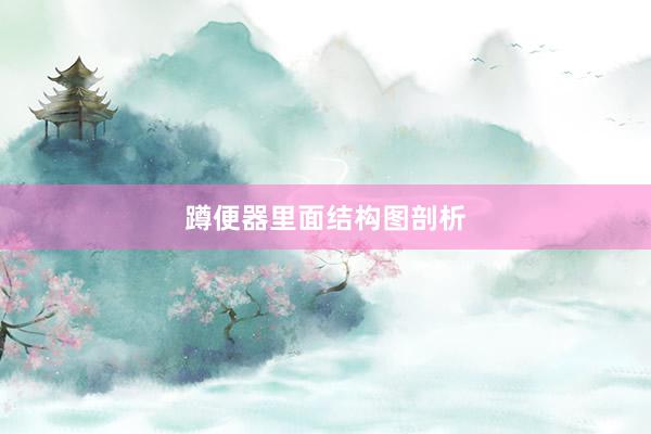蹲便器里面结构图剖析