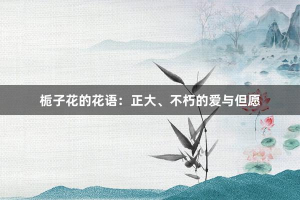 栀子花的花语：正大、不朽的爱与但愿