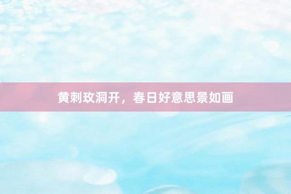黄刺玫洞开，春日好意思景如画