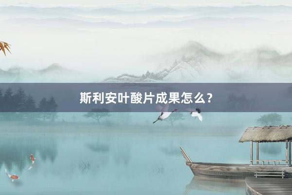 斯利安叶酸片成果怎么？